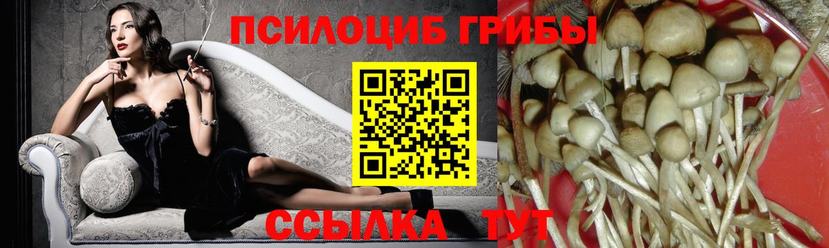 Галлюциногенные грибы мухоморы Миасс